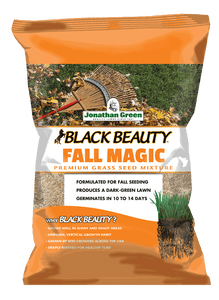 Black Beauty® Fall Magic Grass Seed 3LB Bag